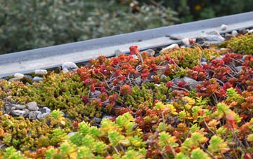 the cost of Tighnabruaich green roof installation