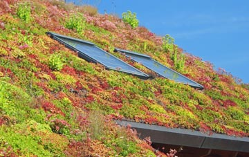 Tighnabruaich living roof systems