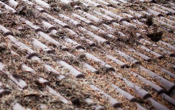 Tighnabruaich roof cleaning companies